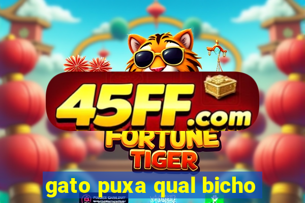 gato puxa qual bicho